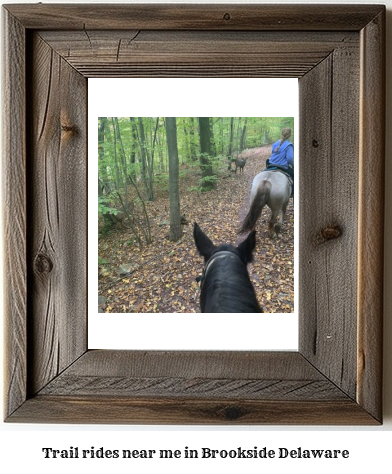 trail rides near me in Brookside, Delaware